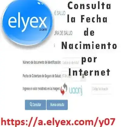 Consulta la Fecha de Nacimiento por Internet