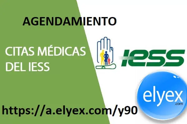 IESS citas médicas: agendar y consultar por internet