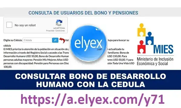 Bono de Desarrollo Humano consulta por Internet