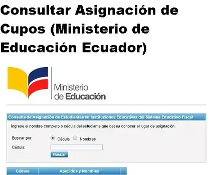 Consultar Asignación Cupos Ministerio de Educación del Ecuador Escuelas y Colegios Fiscales
