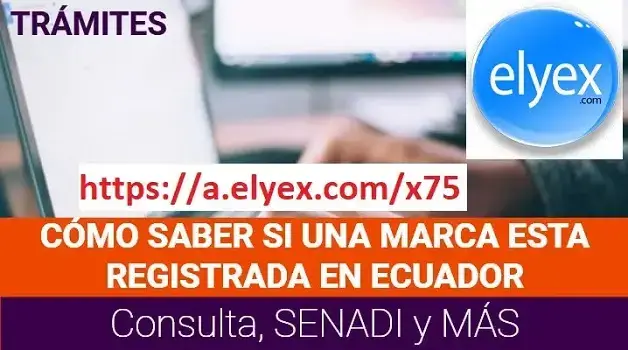 Consultar marcas registradas ¿Cómo saber si existe?