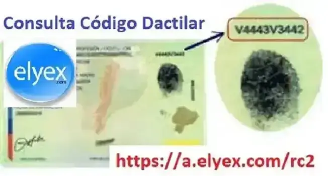 Dónde consultar código dactilar de la cédula Ecuador