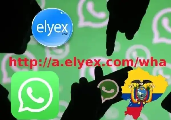 Grupos de Whatsapp Ecuador amistad ligar Telegram