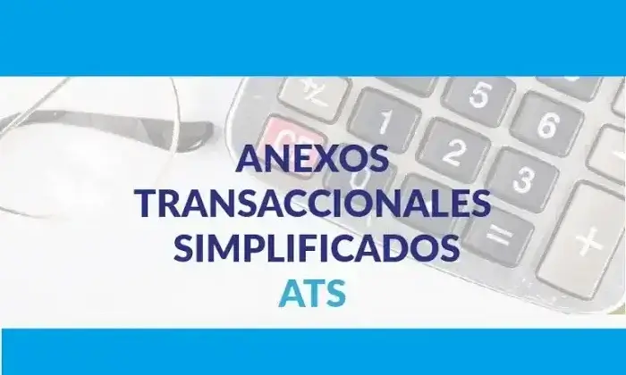 Anexo transaccional simplificado (ATS)