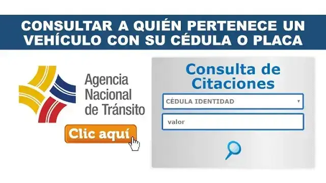 Consultar a quién Pertenece Vehículo ANT Ecuador SRI Transito Dueño