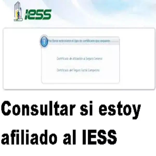 consultar estoy afiliado iess