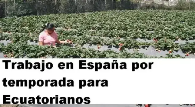 Trabajo en España por temporada para Ecuatorianos