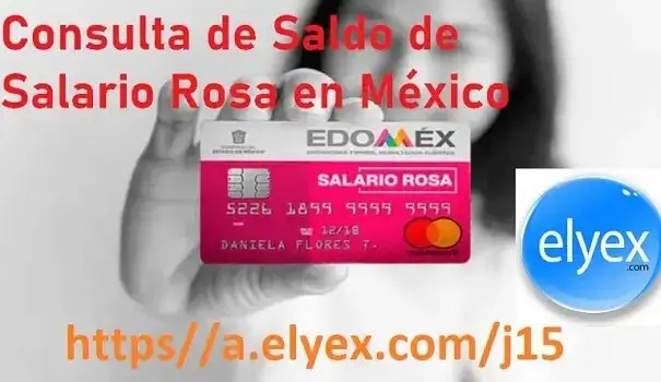 Consulta de Saldo de Salario Rosa en México