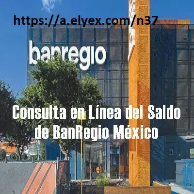 Consulta en Línea del Saldo de BanRegio México
