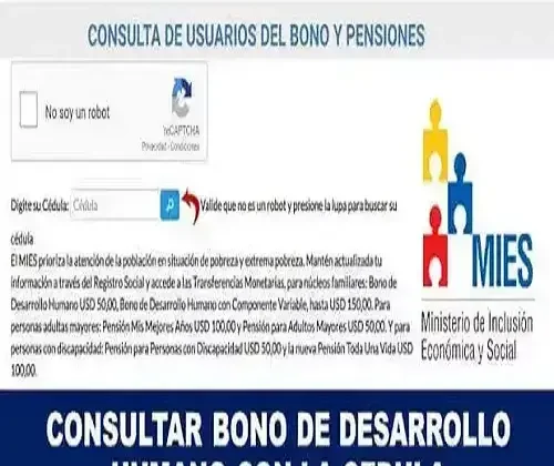 Consultar bono de desarrollo humano