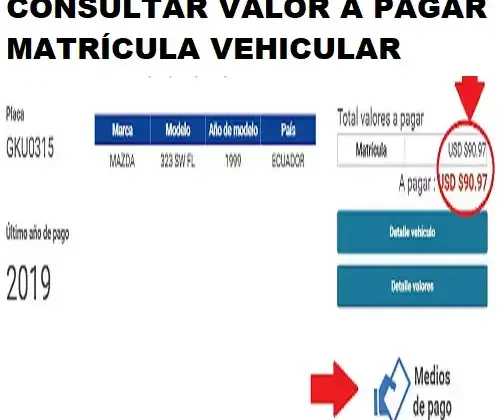 Consultar valor a pagar matrícula vehicular
