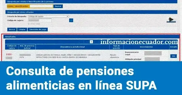 Consulta de pensiones alimenticias en línea SUPA