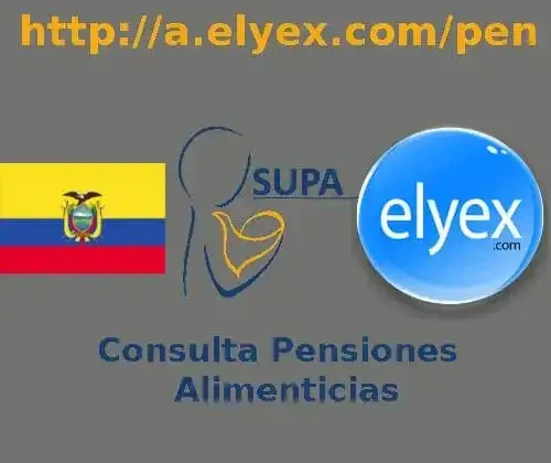 Consulta pensiones alimenticias Ecuador SUPA función judicial consejo de la judicatura