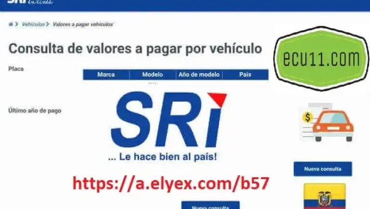 Consulta online Valor Matrícula Vehicular SRI