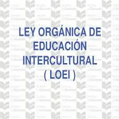 LOEI y su Reglamento Ecuador