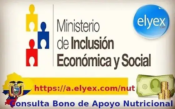 Consulta Bono de Apoyo Nutricional MIES www.inclusion.gob.ec Ecuador 240 USD