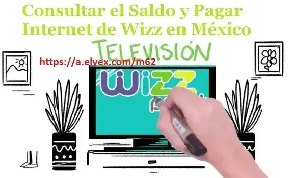 Consultar el Saldo y Pagar Internet de Wizz en México