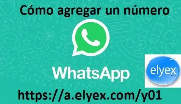 Cómo Agregar un Número celular de Ecuador a Whatsapp