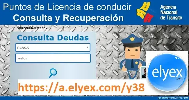 Consultar Puntos Licencia de Conducir Ecuador ANT