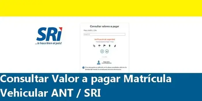 Consultar Valor a pagar Matrícula Vehicular ANT / SRI