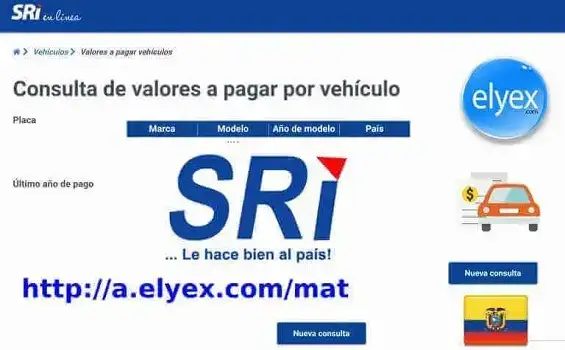 Consulta matricula SRI Vehicular ANT Ecuador Sistema de Matriculación Valores Pagar Gratis