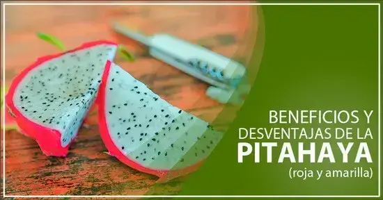 Pitahaya: Beneficios y Desventajas de la pitahaya