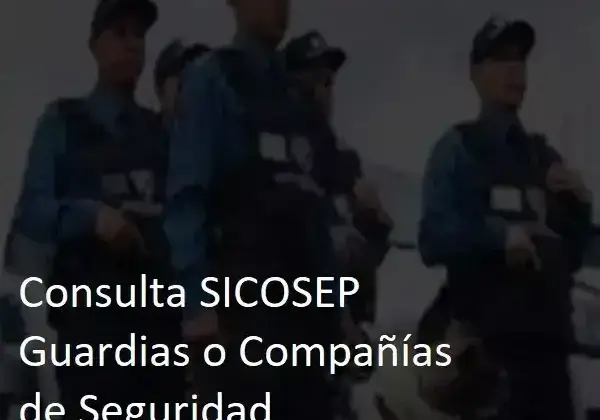 Consulta SICOSEP Guardias o Compañías de Seguridad