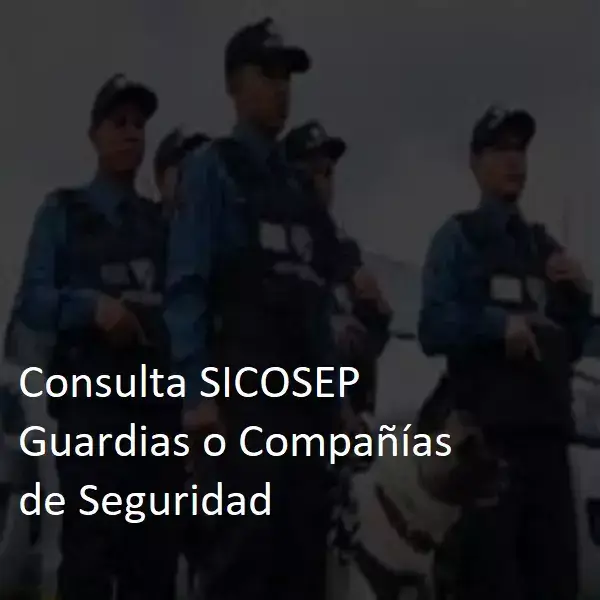 Consulta-SICOSEP-Guardias-o-Companias-de-Seguridad