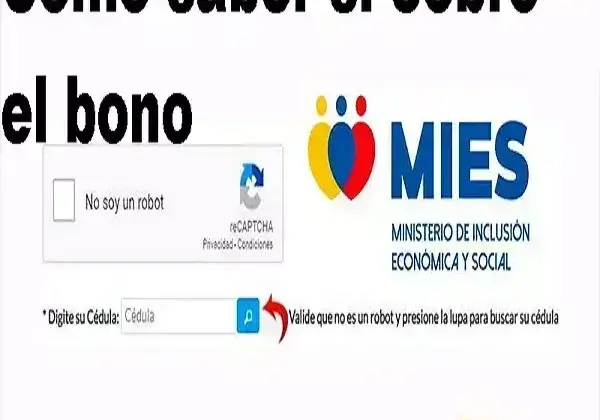 ¿Cómo saber si recibo el bono de desarrollo humano?