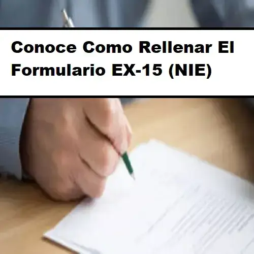 formulario-ex15