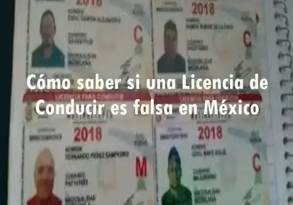Cómo saber si una Licencia de Conducir es falsa en México