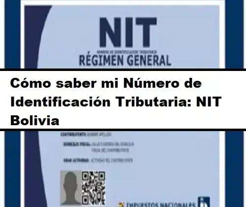 Cómo saber mi Número de Identificación Tributaria: NIT Bolivia