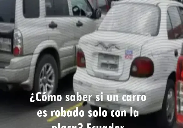 ¿Cómo saber si un carro es robado solo con la placa? Ecuador