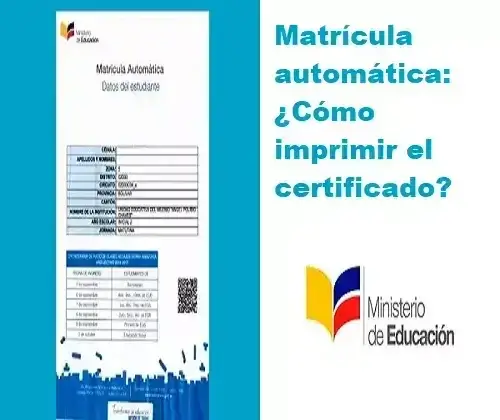 Imprimir Certificado de matrícula automática del Ministerio de Educación