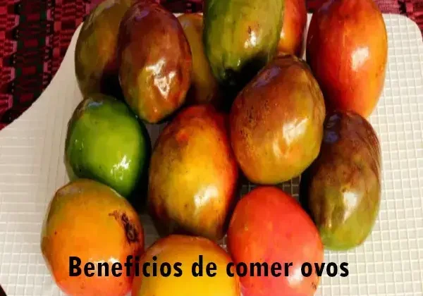 Beneficios de comer ovos