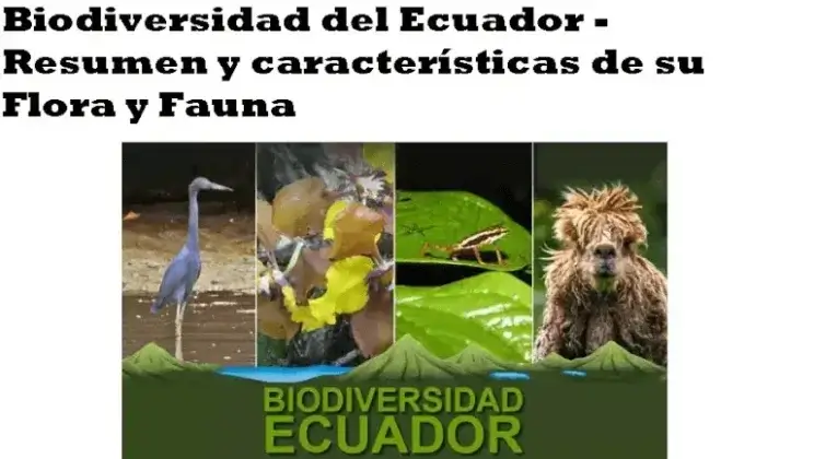 Biodiversidad del Ecuador – Resumen y características de su Flora y Fauna