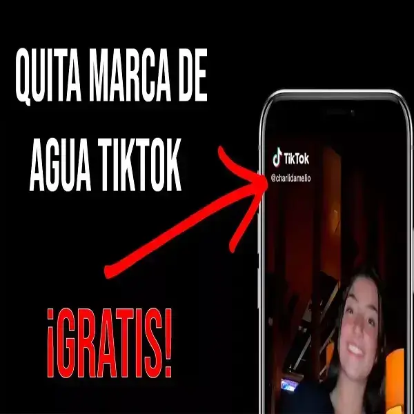 Cómo puedo descargar un vídeo de TikTok sin marca de agua