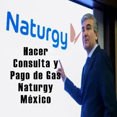 Hacer Consulta y Pago de Gas Naturgy México