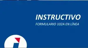 Formato Instructivo Formulario 102 A SRI