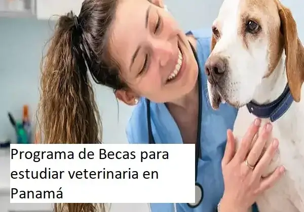 Programa de Becas para estudiar veterinaria en Panamá