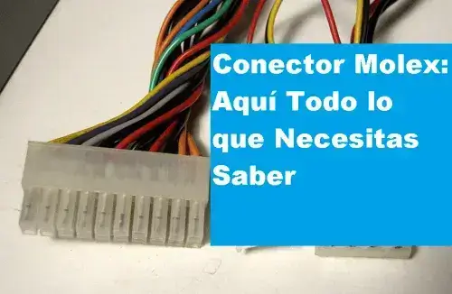 Conector Molex: Aquí Todo lo que Necesitas Saber