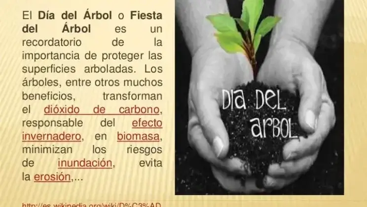 El Día del Árbol en Ecuador 22 de Mayo (resumen)