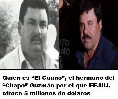 Quién es “El Guano”, el hermano del “Chapo” Guzmán por el que EE.UU. ofrece 5 millones de dólares