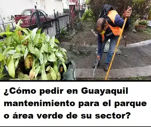 ¿Cómo pedir en Guayaquil mantenimiento para el parque o área verde de su sector?