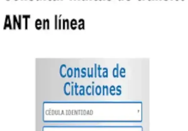 Consulta de multas tránsito ANT Ecuador