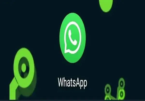 Grupos de WhatsApp, guía a fondo