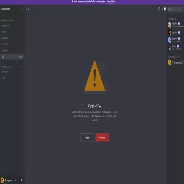 Los 10 mejores servidores de Discord con NSFW y cómo activar el etiquetado, cómo crear un canal travieso