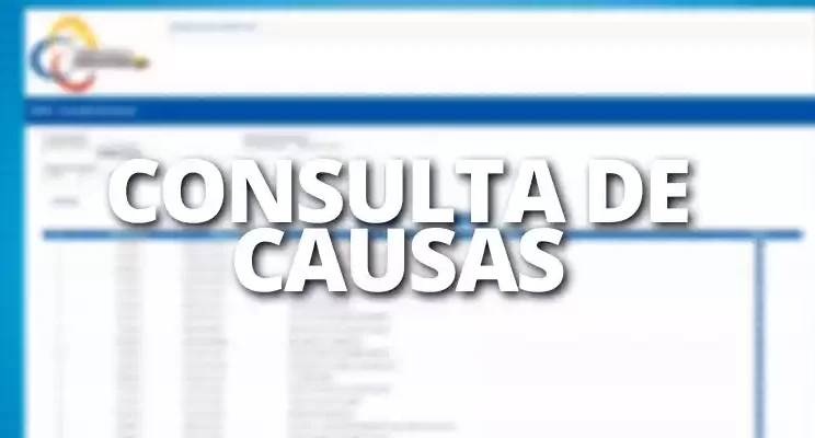 Consultar Causas de Tungurahua Ecuador SATJE
