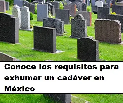 Conoce los requisitos para exhumar un cadáver en México