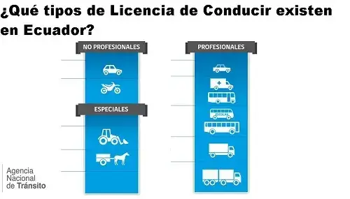 ¿Qué tipos de Licencia de Conducir existen en Ecuador?